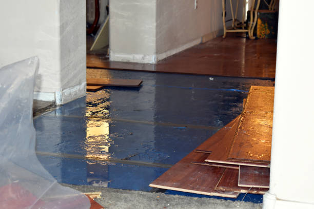 Professional Burst Pipe Cleanup technician working in Placerville, ID